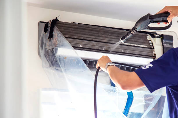 Best Air Duct Mold Removal  in Fruitland Park, FL