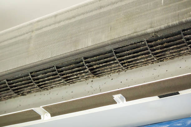 Best Air Duct Cleaning Near Me  in Fruitland Park, FL