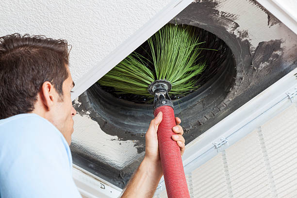 Best Residential Air Duct Cleaning  in Fruitland Park, FL