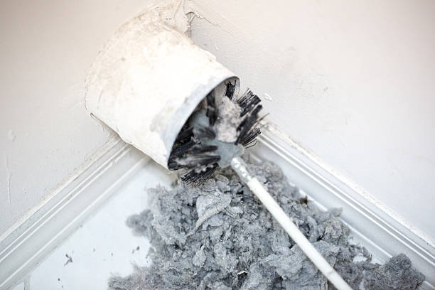 Best Home Air Vent Cleaning  in Fruitland Park, FL