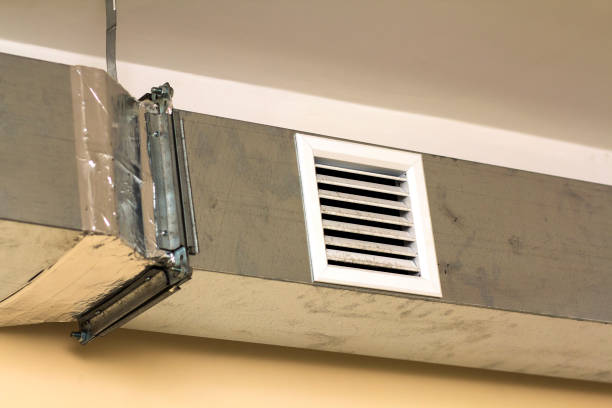 Best Affordable Air Duct Cleaning  in Fruitland Park, FL